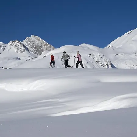 Fernsicht Alpen-apartments Appartement *