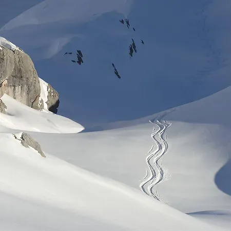 公寓 Fernsicht Alpen-apartments *