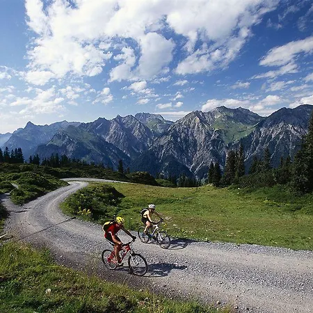 Fernsicht Alpen-apartments 公寓 *