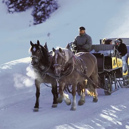 公寓 Fernsicht Alpen-apartments 莱赫阿尔贝格