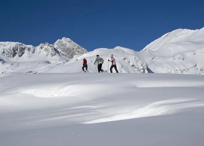 Fernsicht Alpen-apartments Apartament *